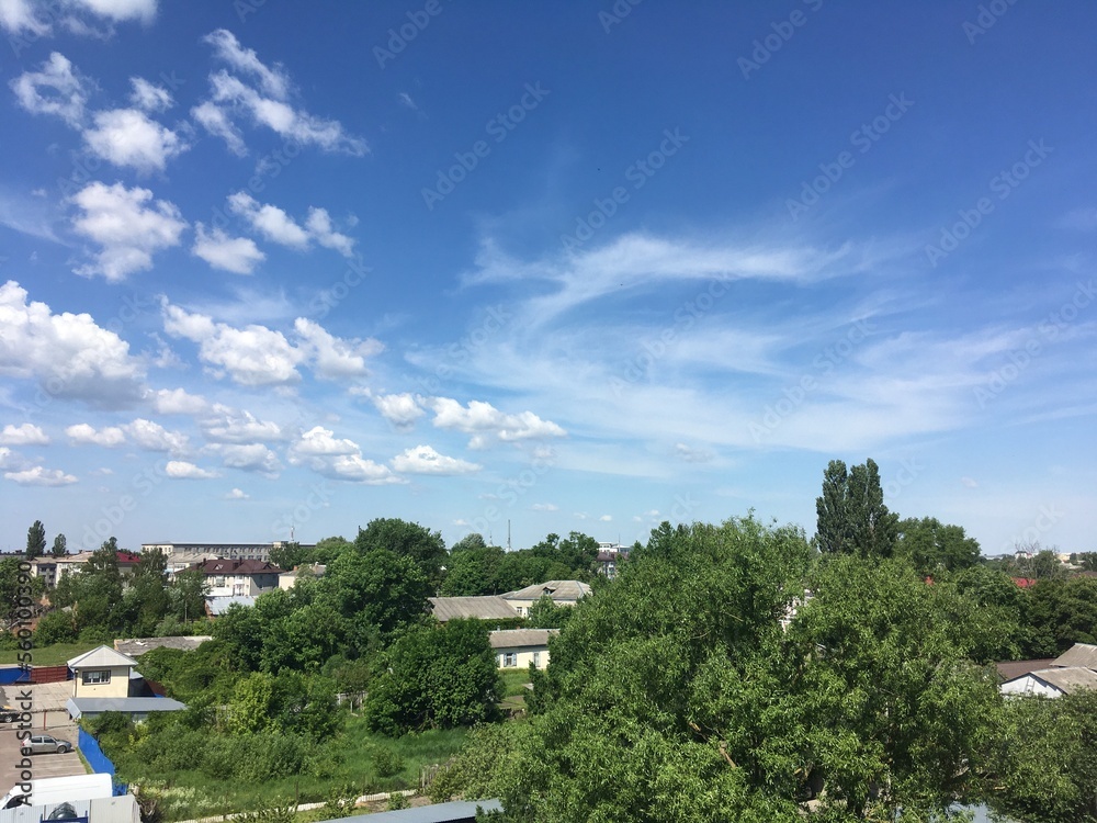 Obraz premium Clouds over the trees. Sky and wight clouds. View of the city Novozybkov