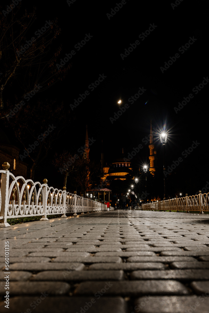 blue mosque in istanbul in night illumination. Night cityscape with temple