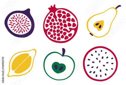 Set of fruits. Dragon fruit, pomegranate, fig and other. Vector illustration