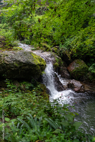 小川の滝