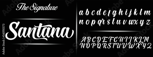 Signature Font Calligraphy Logotype Script Brush Font Type Font lettering handwritten
