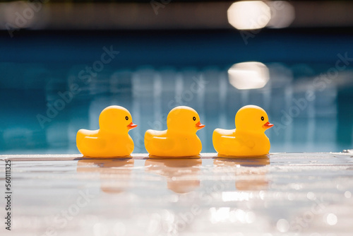 Fotografie Summer season, the concept of a children's game