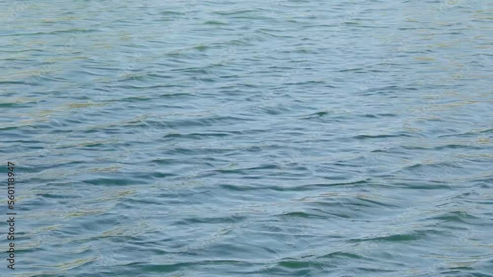 Lake bay water. Blue water lake close up. Water movement video. Space for text. Lake bay water. Blue water lake close up. Water movement video. Space for text.