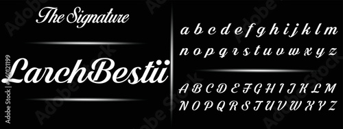 Signature Font Calligraphy Logotype Script Brush Font Type Font lettering handwritten
