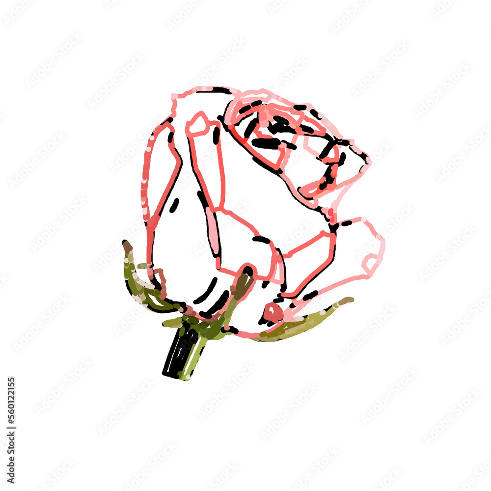 Obraz premium digital brush stroke color line drawing of a flower with transparent and colorful background