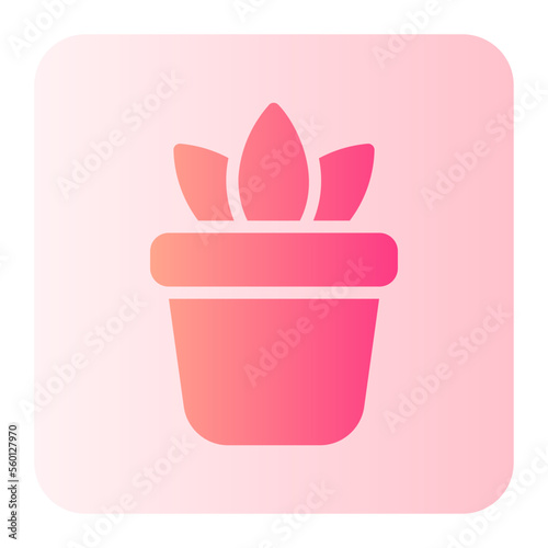 Plant Pot gradient icon
