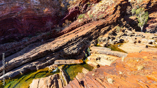 a panorama of hamersley gorge in karijini national park, western australia; a lush red canyon in the desert with red sand and rocks; an oasis in the australian outback photo