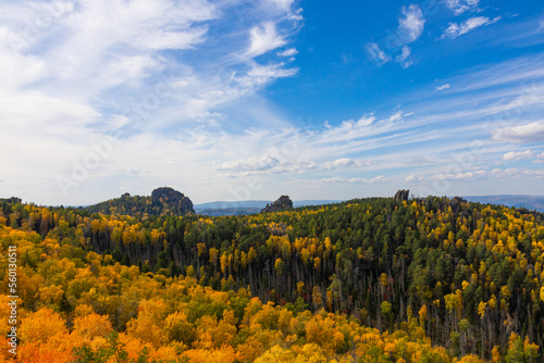 Autumn colorful landscape with tops of Rock pillars above golden and green dense forest at Stolby Nature Reserve in Krasnoyarsk  Russia. Autumn taiga under blue sky in sunny day