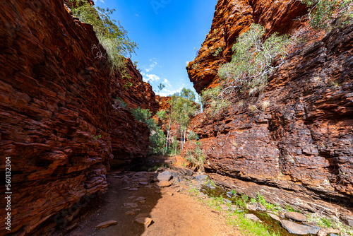 panorama of gorge in karijini national park in western australia  a lush red canyon in the desert with red sand and rocks  an oasis in the australian outback