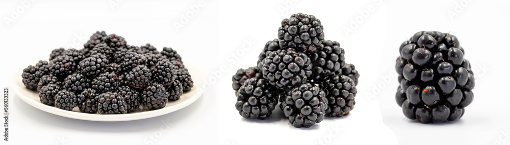 Set of blackberry images. Blackberry isolated on a white background. Clipping Path. Full depth of field. close up Set of blackberry images. Blackberry isolated on a white background. Clipping Path. Full depth of field. close up