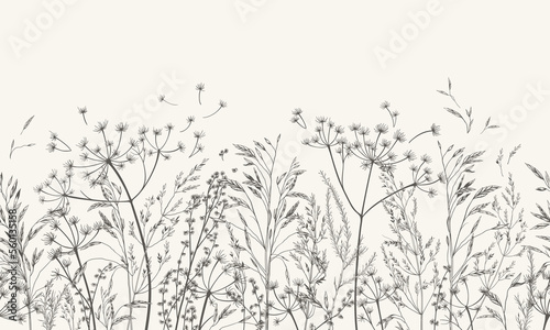 Vector illustration with wild and dry herbs. Black and White. Panoramic horizontal seamless pattern. Autumn meadow. Ornament for wallpaper, card, border, banner or your other design. Engraving.