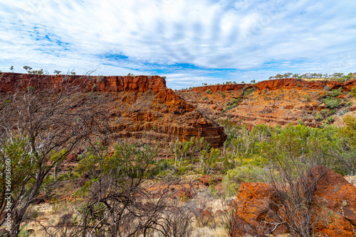 panorama of dales gorge in karijini national park in western australia; a lush red canyon in the desert with red sand and rocks photo