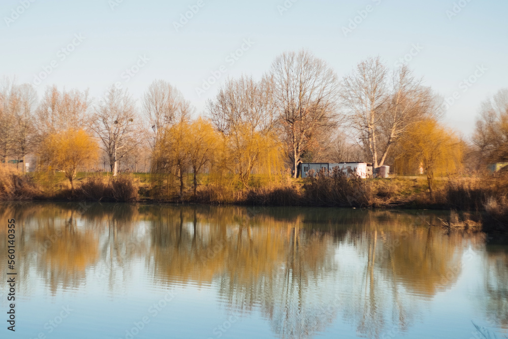 Reflection of trees in the Danube river in Ilok Croatia on a sunny winter morning