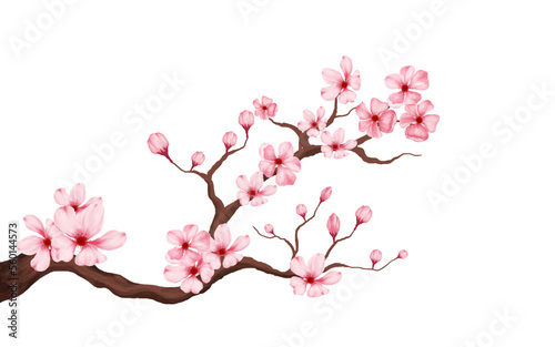Billede på lærred cherry blossom branch with sakura flower