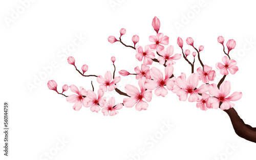 Obraz na płótnie cherry blossom branch with sakura flower. sakura white background. watercolor cherry bud. cherry blossom flower blooming. vector pink sakura flower background. watercolor cherry blossom vector w salonie