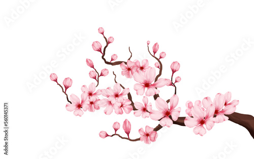 Valokuva cherry blossom branch with sakura flower