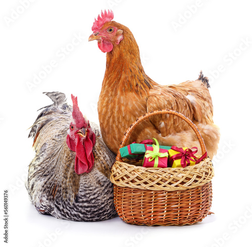 Chickens near a basket of gifts.