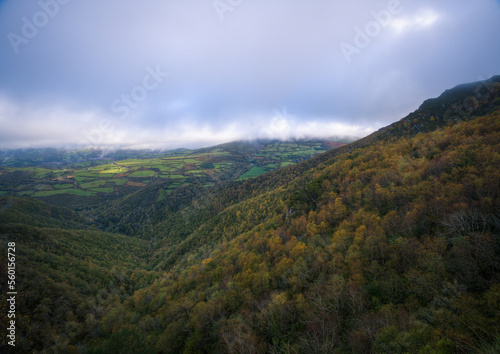 Extensive deciduous forests on the slopes of Mount Oribio