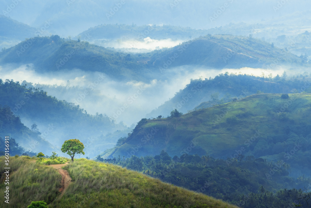 Fototapeta premium Mountains landscape in the morning