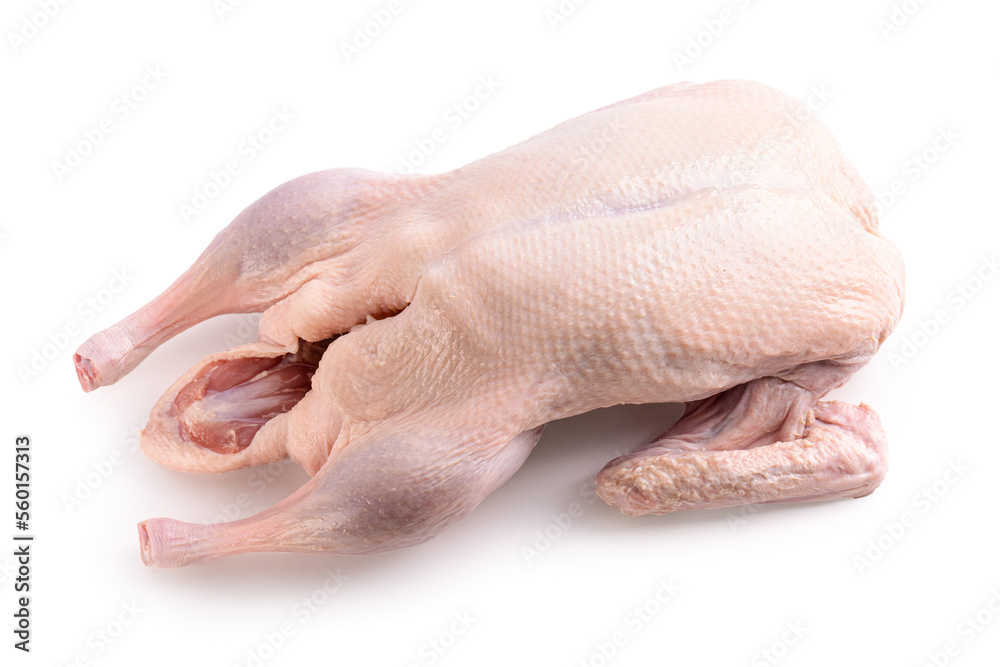 Raw and uncooked whole duck isolated on white background Raw and uncooked whole duck isolated on white background