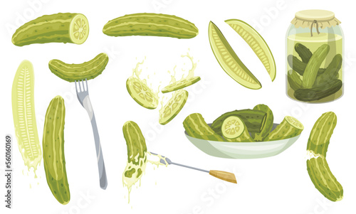 Homemade pickled cucumbers. Clip-arts of marinated food for packaging, label, menu, signboard or showcase. Fermented veggies, crunch gherkin with salt. Healthy vegetarian foods