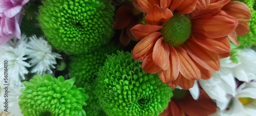 Flores