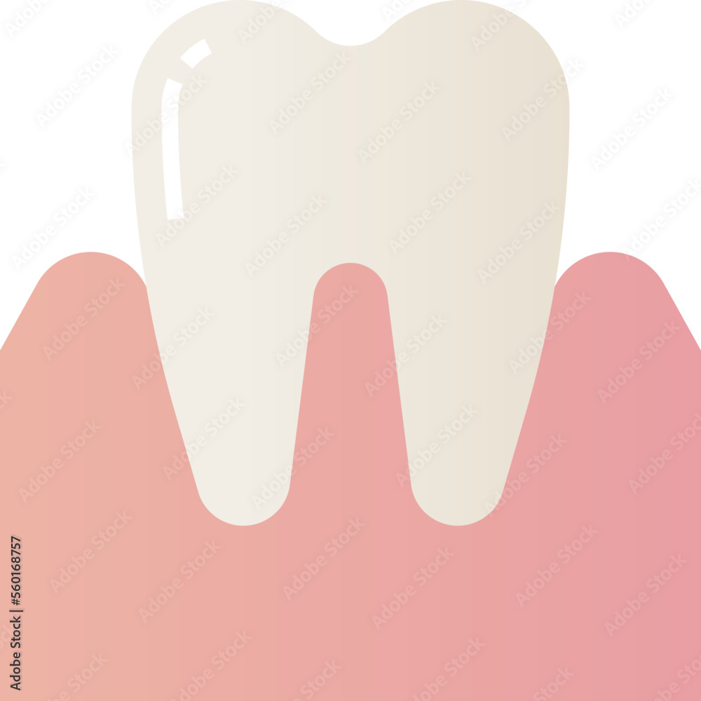 tooth illustration tooth illustration