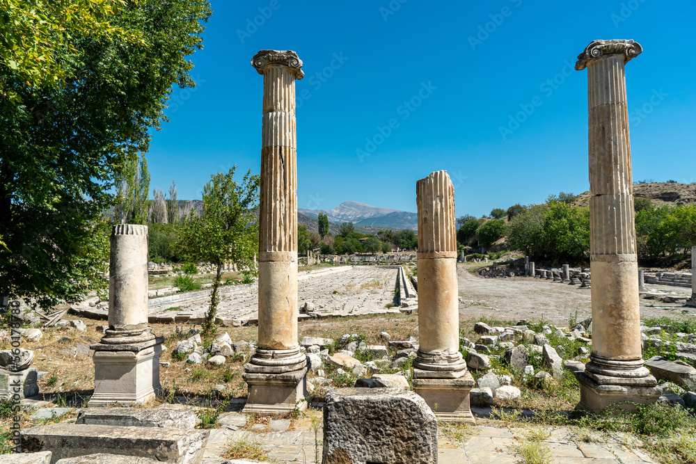Ruins of South Agora with unique huge pool surrounded by Ionic colonnades in ancient city of Aphrodisias, Aydin, Turkey. 