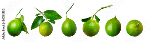 Ripe whole green lemons with leaves isolated on white background. Cut out lemon, lime for advertising, packaging, design, mock-up. Set of citrus fruits of various shapes. Vitamin C