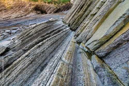 Detail of flysch, rocks of sedimentary origin that slide over each other.