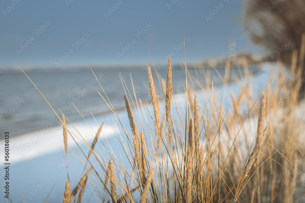 Frosty winter morning at Baltic sea shore in Riga. Beautiful landscape of seaside covered in snow and ice. Frosty winter morning at Baltic sea shore in Riga. Beautiful landscape of seaside covered in snow and ice.