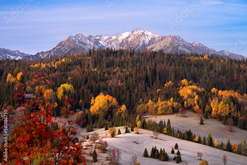 Fototapeta Naklejka Na Ścianę i Meble -  Autumn landscape in the mountains