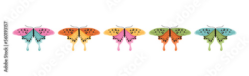 Colorful butterflies set. Interface for programs and applications. Symbol of spring and summer seasons. Zoology and biology, insects. Cartoon flat vector illustrations isolated on white background