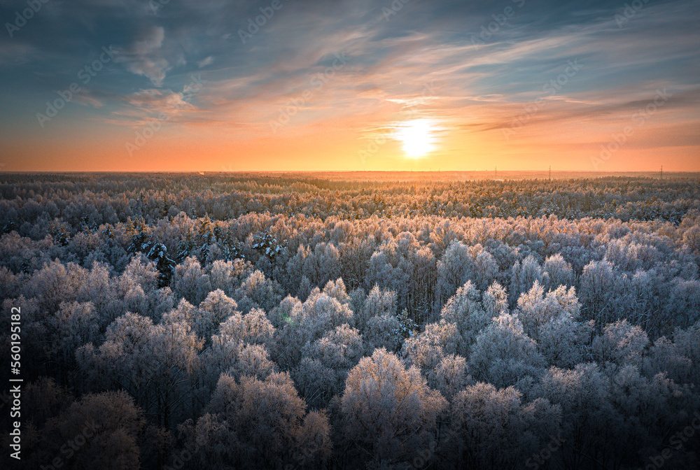 Warm sunrise over snowy countryside landscape. Pine forest covered in frost. Winter wonderland in vibrant colors. - obrazy, fototapety, plakaty 