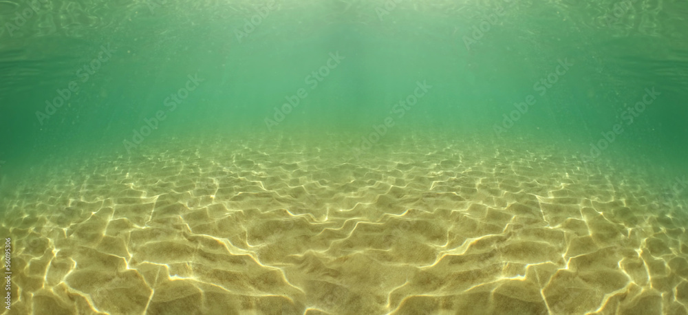  Tranquil underwater scene with copy space