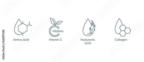 amino acid, vitamin c, hyaluronic acid, collagen icon vector illustration 
