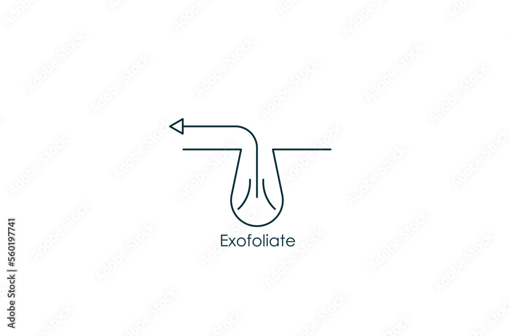 Obraz premium Cleansing Clogged Deep Pore exfoliate icon vector illustration 