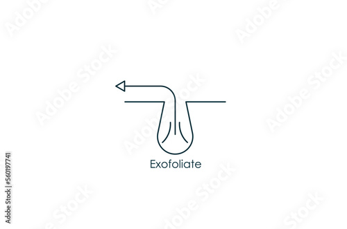 Cleansing Clogged Deep Pore exfoliate icon vector illustration  photo