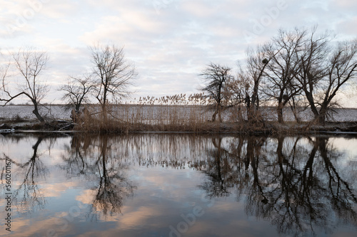 landscape of the river reflection of trees in water in the winter
