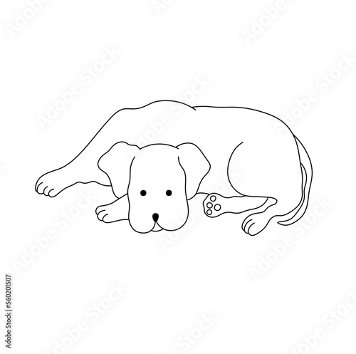 Vector isolated one simple big lying dog colorless black and white contour line easy drawing