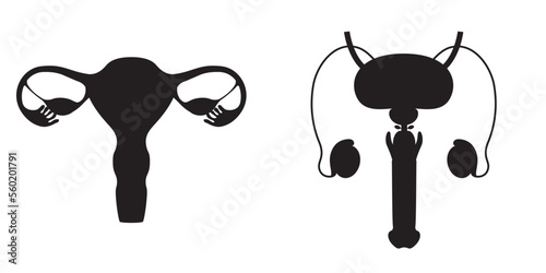 Black silhouette of male and female reproductive system. 