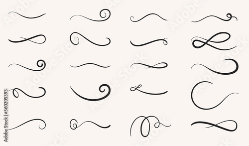 set of hand drawn swirling lines and calligraphic elements