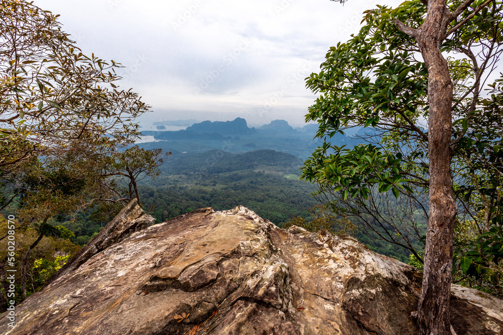 The view of the natural background of the mountain close-up, with blurred fog scattered in the rainy season or the humid climate, with beautiful green trees in the ecological system The view of the natural background of the mountain close-up, with blurred fog scattered in the rainy season or the humid climate, with beautiful green trees in the ecological system