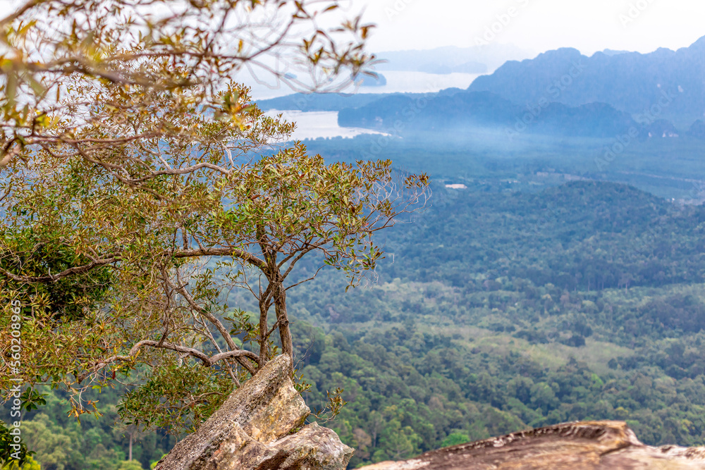 The view of the natural background of the mountain close-up, with blurred fog scattered in the rainy season or the humid climate, with beautiful green trees in the ecological system The view of the natural background of the mountain close-up, with blurred fog scattered in the rainy season or the humid climate, with beautiful green trees in the ecological system