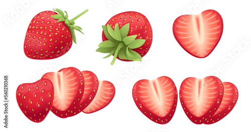 Set of Red natural fresh strawberry sweet tasty whole and sliced berry vector illustration isolated on white background