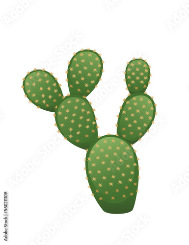Green exotic desert cactus with thorns decorative plant vector illustration isolated on white background