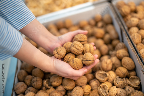 Handful of walnuts in shell.
