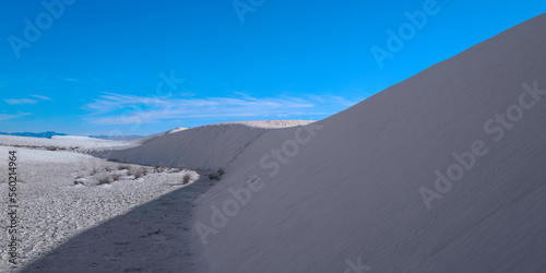 Curved silhouette lines of Gypsum Sand Dunes and the blue sky of White Sands National Park  New Mexico  USA