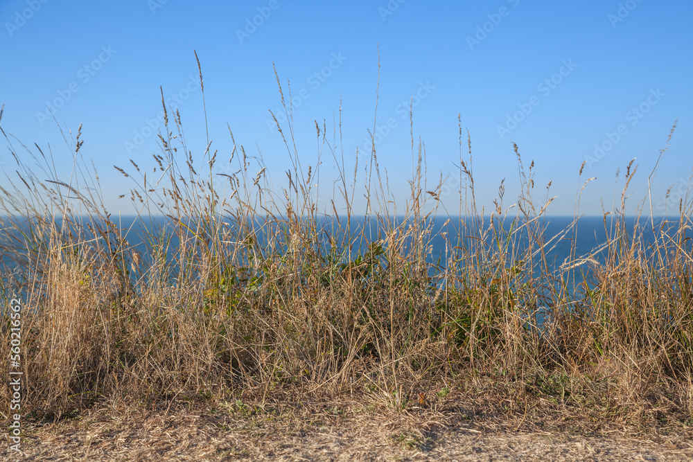 Obraz premium Kanalküste in Nordfrankreich