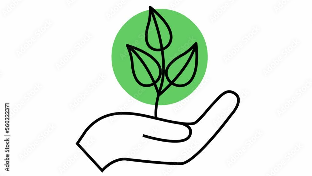 Linear ecology icon. Tree sprout in hand. The black and green symbol is drawn gradualaty. Looped video. Concept of ecology care, saving the nature, harvest. Vector illustration isolated on white backg Linear ecology icon. Tree sprout in hand. The black and green symbol is drawn gradualaty. Looped video. Concept of ecology care, saving the nature, harvest. Vector illustration isolated on white backg